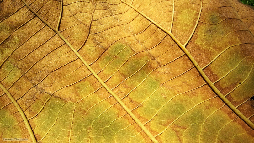  Để chụp ảnh đẹp hơn với điện thoại - Phần 2 ảnh 3