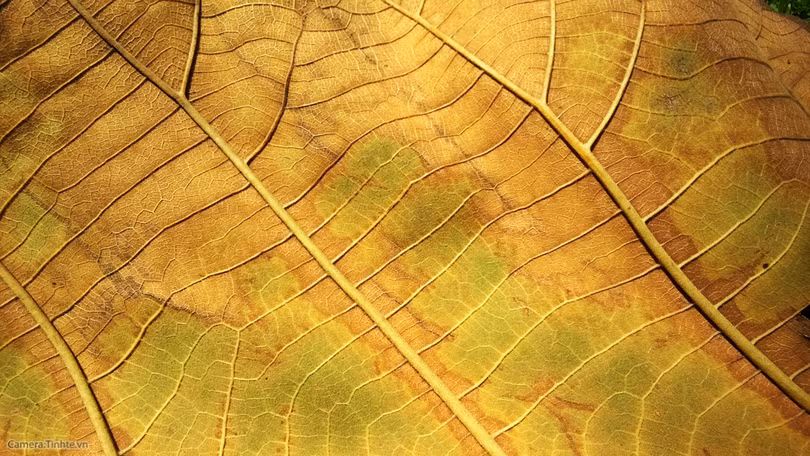  Để chụp ảnh đẹp hơn với điện thoại - Phần 2 ảnh 3