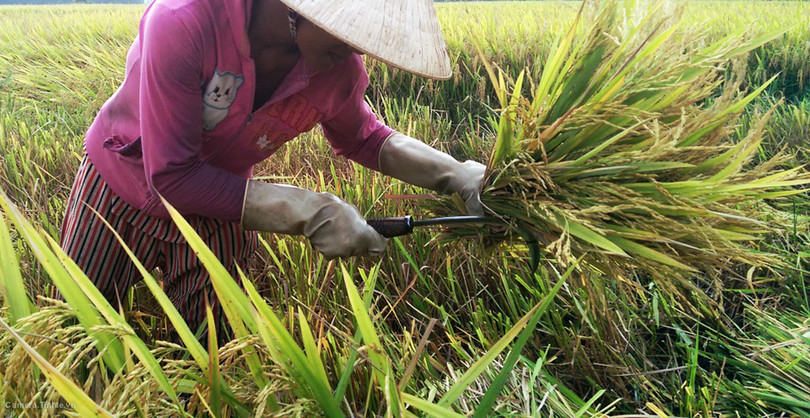 Mẹo giúp chụp ảnh đẹp hơn với điện thoại - Phần 1 ảnh 16 Mẹo giúp chụp ảnh đẹp hơn với điện thoại - Phần 1 ảnh 16