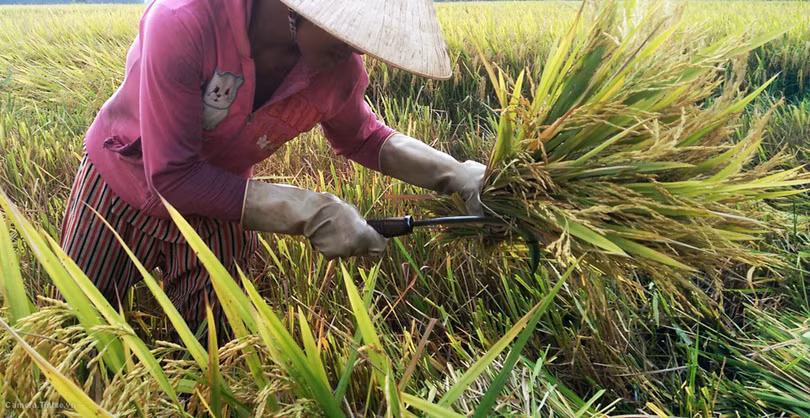 Mẹo giúp chụp ảnh đẹp hơn với điện thoại - Phần 1 ảnh 16 Mẹo giúp chụp ảnh đẹp hơn với điện thoại - Phần 1 ảnh 16