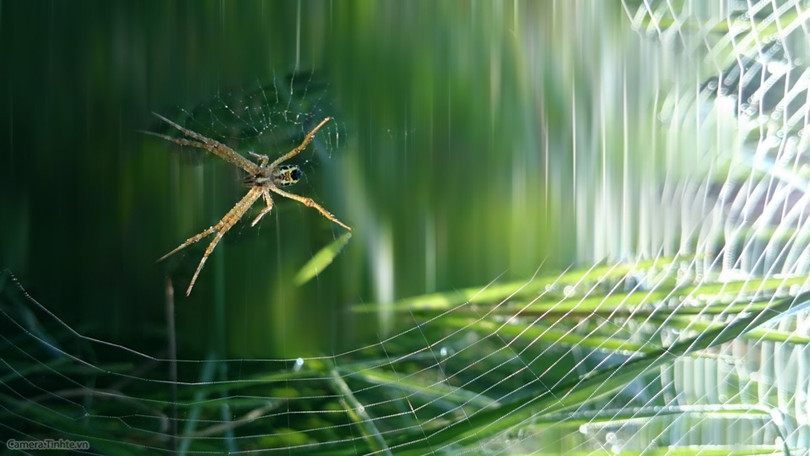  Để chụp ảnh đẹp hơn với điện thoại - Phần 2 ảnh 6