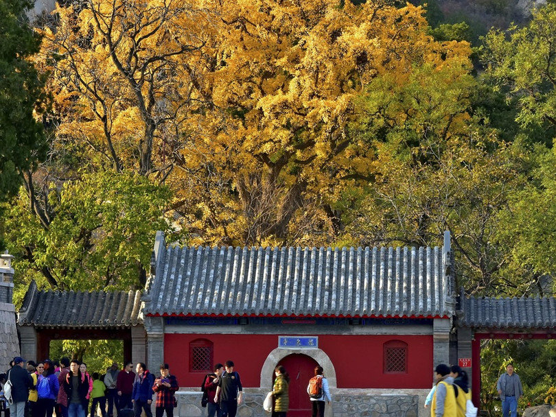 Chùa Long Tuyền, Bắc Kinh - Nơi xảy ra vụ việc Chùa Long Tuyền, Bắc Kinh - Nơi xảy ra vụ việc