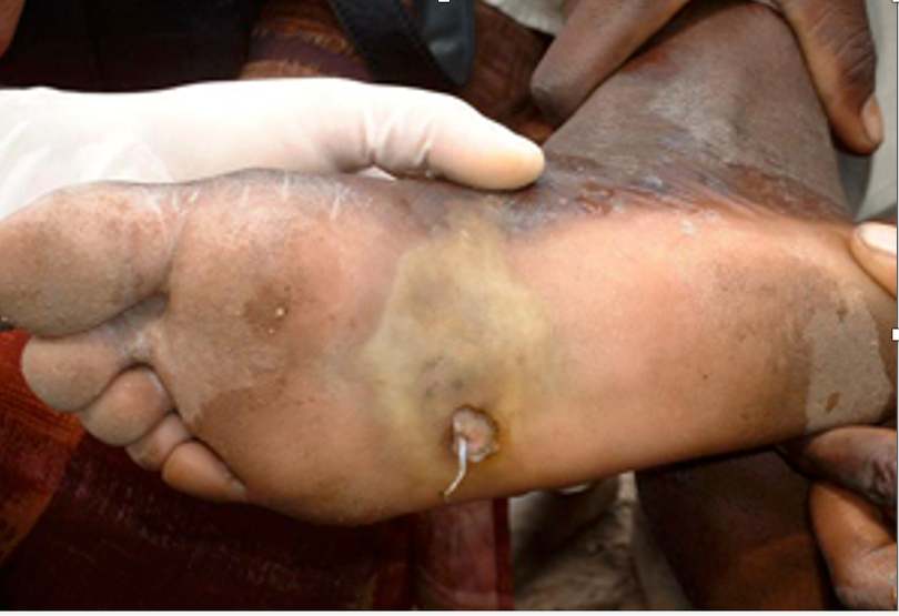 Ảnh màn hình 2024-04-07 lúc 23.03.00.png