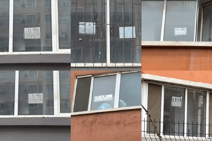 Can chu nha dan giay rao ban.png