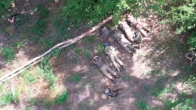 Linh Ukraine bi bat.png