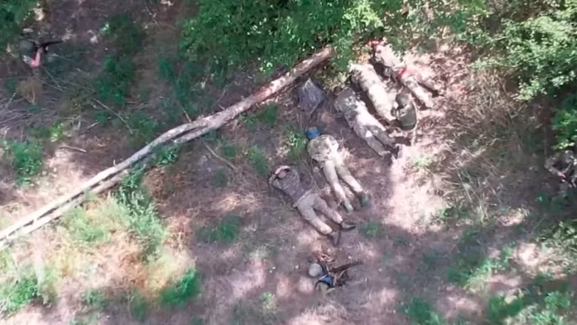 Linh Ukraine bi bat.png