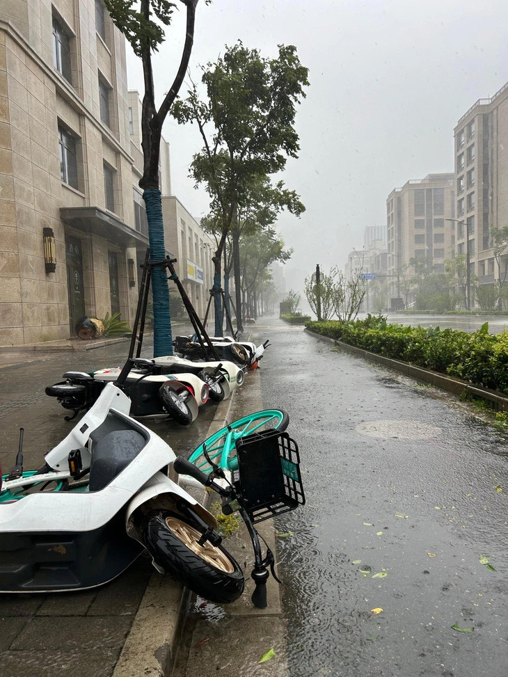 Gió to khiến dàn xe điện, chậu cây bị đổ (Ảnh: The paper)