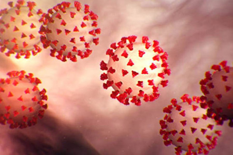 Virus Corona mới bắt nguồn từ Vũ Hán hay Trung Quốc đang trở thành chủ đề khẩu chiến giữa hai nước Mỹ - Trung (Ảnh: CDC Mỹ).