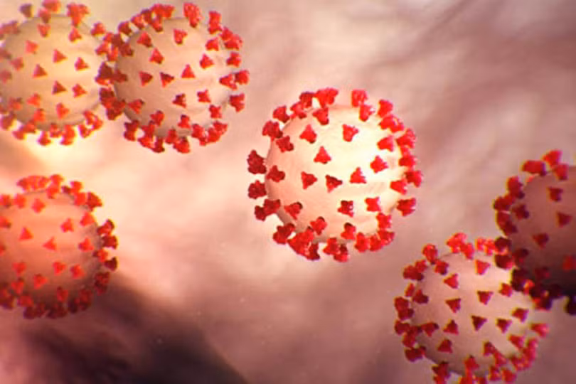 Virus Corona mới bắt nguồn từ Vũ Hán hay Trung Quốc đang trở thành chủ đề khẩu chiến giữa hai nước Mỹ - Trung (Ảnh: CDC Mỹ).