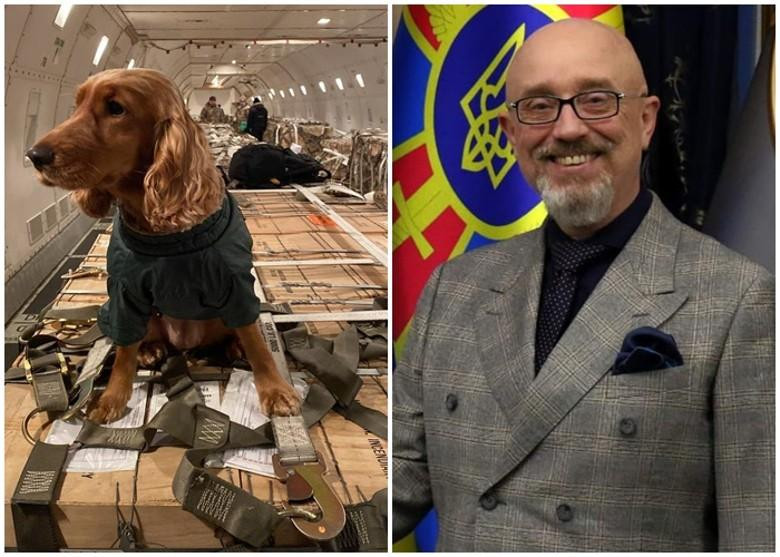 Bộ trưởng Quốc phòng Ukraine Oleksii Reznikov và hình ảnh ông chia sẻ trên Twitter vũ khí Mỹ viện trợ được máy bay chở tới Ukraine (Ảnh: Đông Phương) Bộ trưởng Quốc phòng Ukraine Oleksii Reznikov và hình ảnh ông chia sẻ trên Twitter vũ khí Mỹ viện trợ được máy bay chở tới Ukraine (Ảnh: Đông Phương)