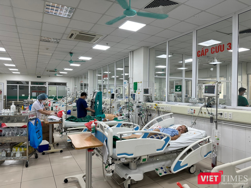 VT_ BV Nhiet dơi.jpg