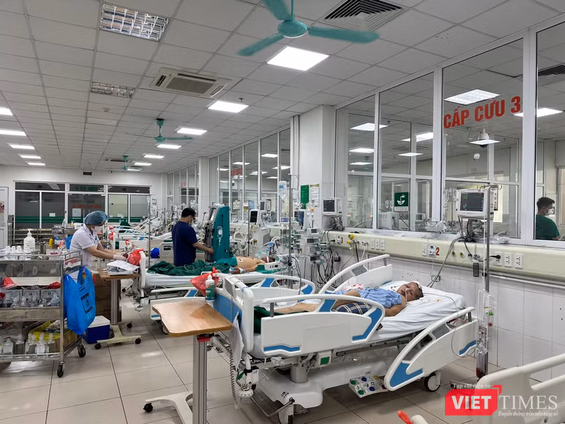 VT_ BV Nhiet dơi.jpg