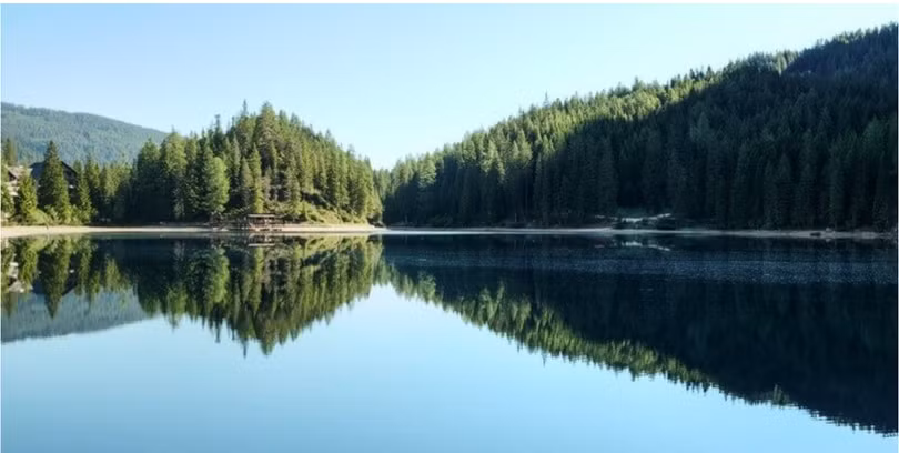 Ảnh: TRG International