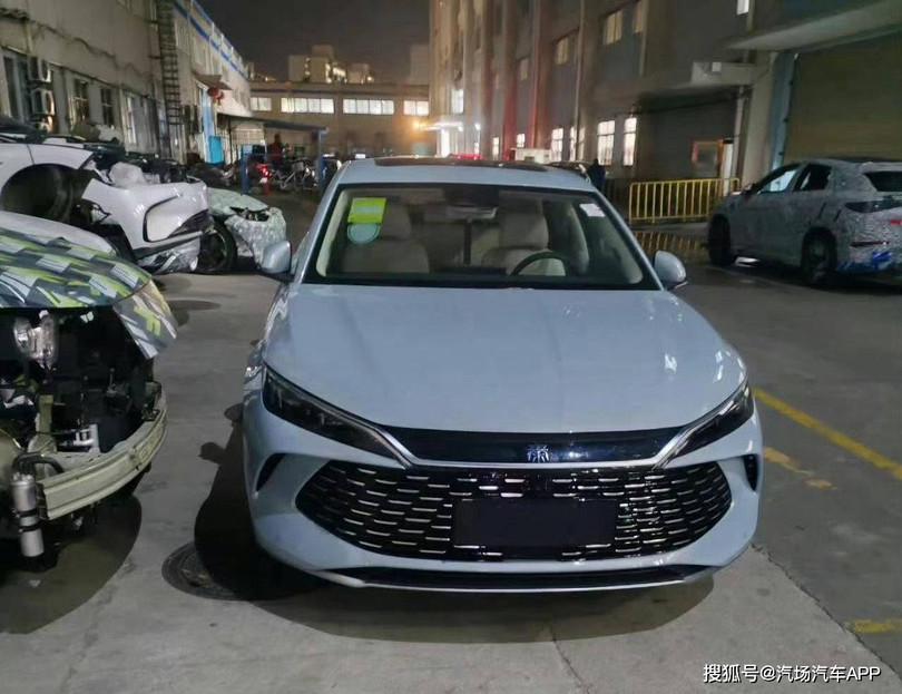 BYD QinL.jpeg