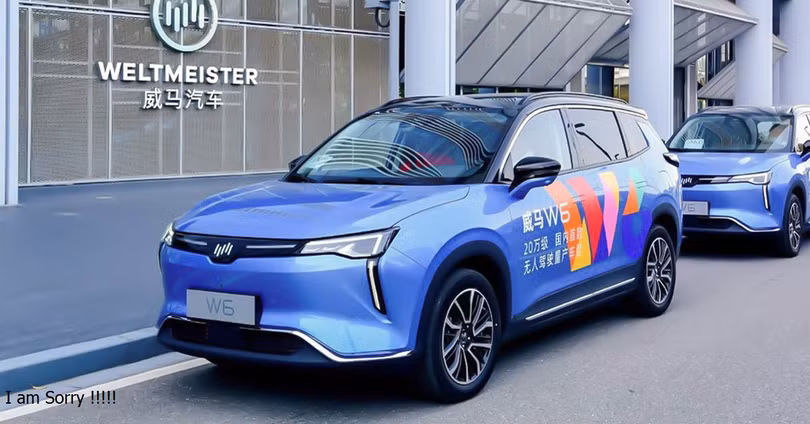 Weltmeister từng là một thương hiệu ô tô điện nổi tiếng ở Trung Quốc (Ảnh: NBD)