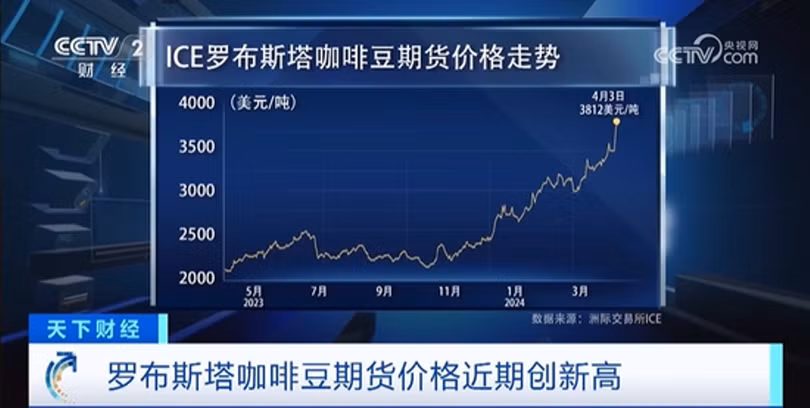 Gia hat ca phe Robuta.png