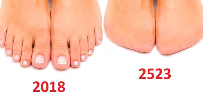 15 bộ phận trên cơ thể con người sẽ biến mất trong tương lai ảnh 11