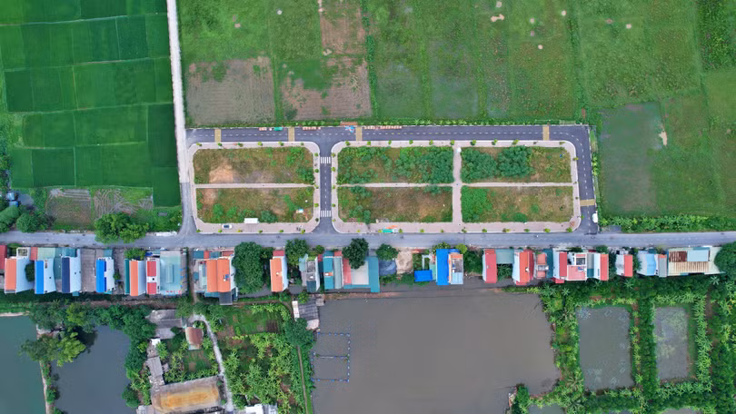 55/68 lô đất trúng đấu giá tại Thanh Oai chính thức bỏ cọc. Ảnh: Lệ Chi