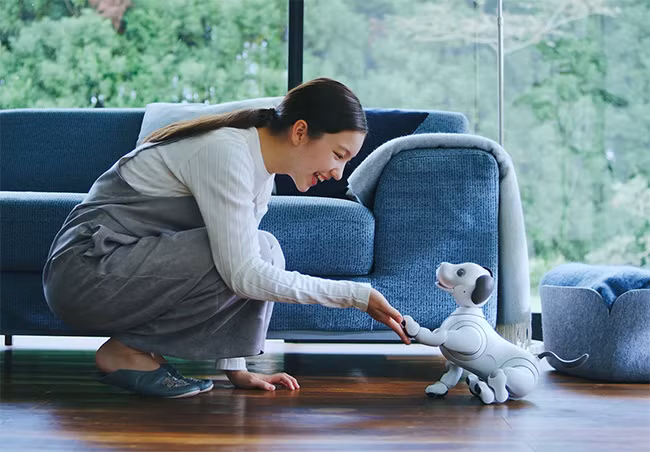 Robot thú cưng Aibo (ảnh: YouTube)