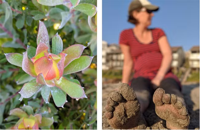 10 mẹo để có những bức hình chân dung tuyệt đẹp trên Pixel 2 XL ảnh 4