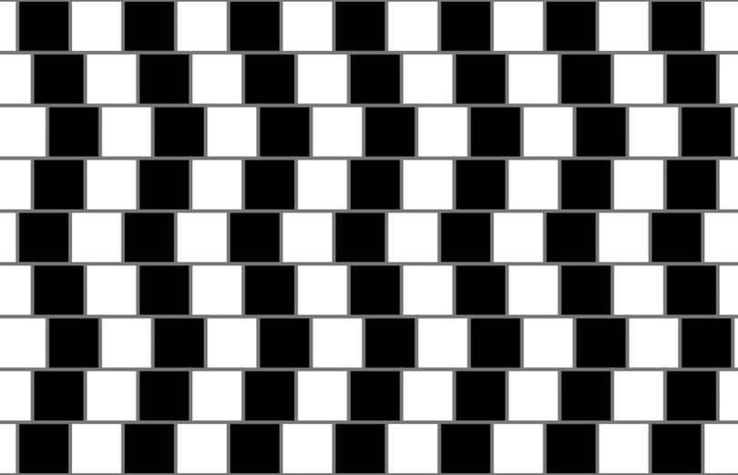 Hại não: Những ảo ảnh đánh lừa thị giác (Phần 1) ảnh 14