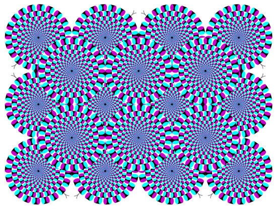 Hại não: Những ảo ảnh đánh lừa thị giác (Phần 1) ảnh 1