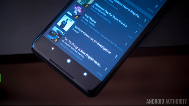 Tất tần tật những vấn đề thường gặp trên Google Pixel 2 XL ảnh 4