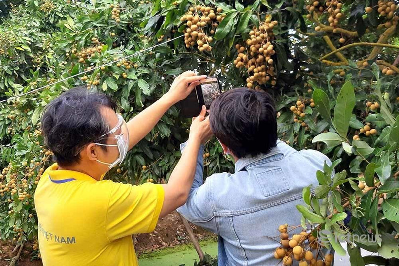 Bên cạnh trực tiếp "cầm tay chỉ việc", nhân viên các sàn TMĐT còn tận dụng các kênh online để hướng dẫn các hộ nông dân.