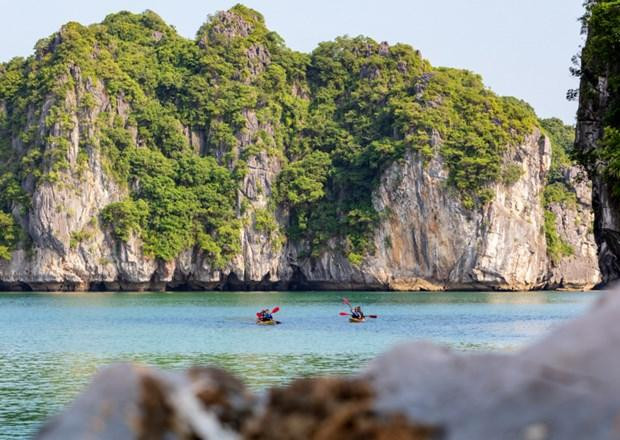 (Ảnh minh họa: CTV/Vietnam+)