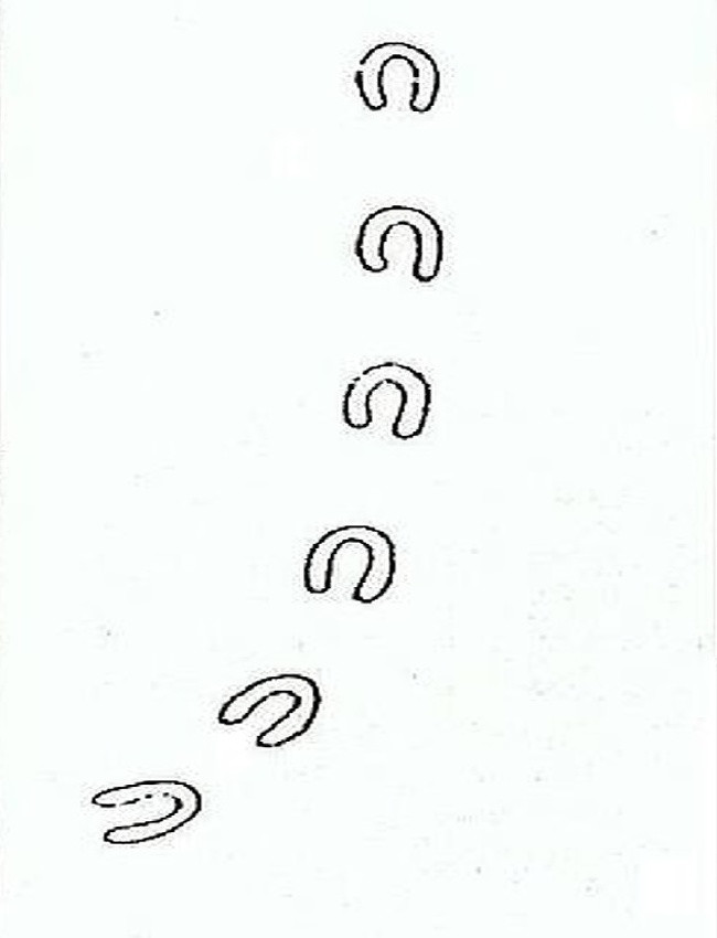 8 sự kiện chấn động không bao giờ có lần thứ hai ảnh 5