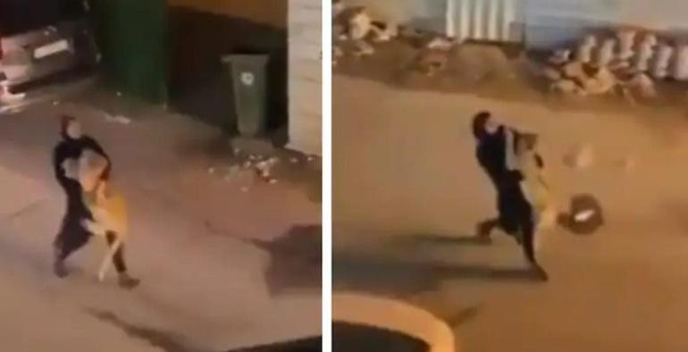 Cô gái thản nhiên bế con sư tử trên tay, dù nó liên tục vùng vẫy để tìm cách thoát ra (Ảnh cắt từ clip).