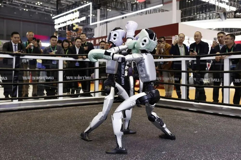 Robot wushu.jpg