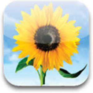 6 ứng dụng Android miễn phí ngày 31/7 ảnh 1