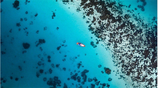 Top 12 ứng dụng nên tải ngay và luôn cho iPhone 8 ảnh 5