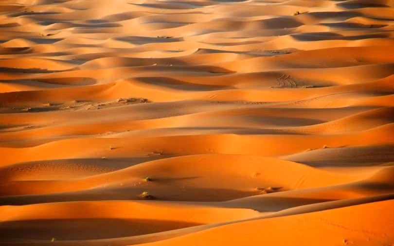 Sahara từng là thiên đường sự sống? Ảnh: Sohu