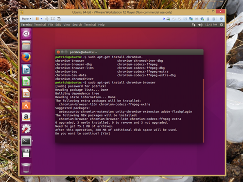 Hệ điều hành Linux Ubuntu đang được cài đặt trên VMWare.