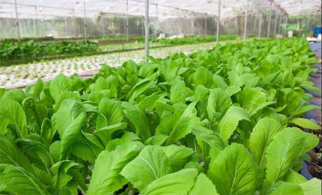 10 trải nghiệm mà những đứa trẻ sinh năm 2018 sẽ không bao giờ có được ảnh 7