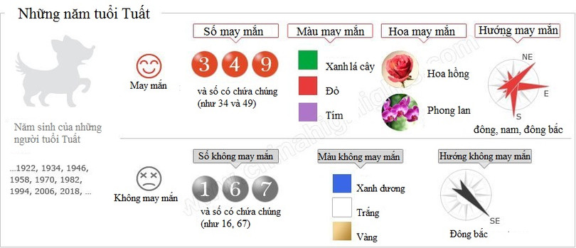 Năm Tuất với những người tuổi Tuất: niềm vui, hạnh phúc và những cơ hội mới! ảnh 1