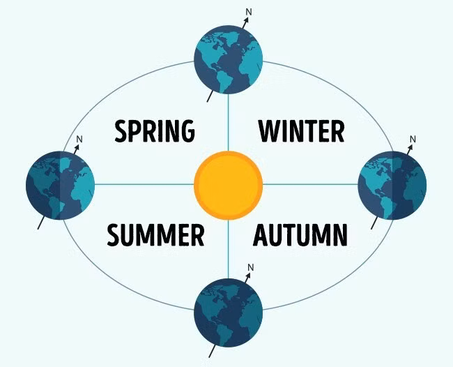 15 lầm tưởng sai bét mà nhân loại vẫn tin "sái cổ" ảnh 3