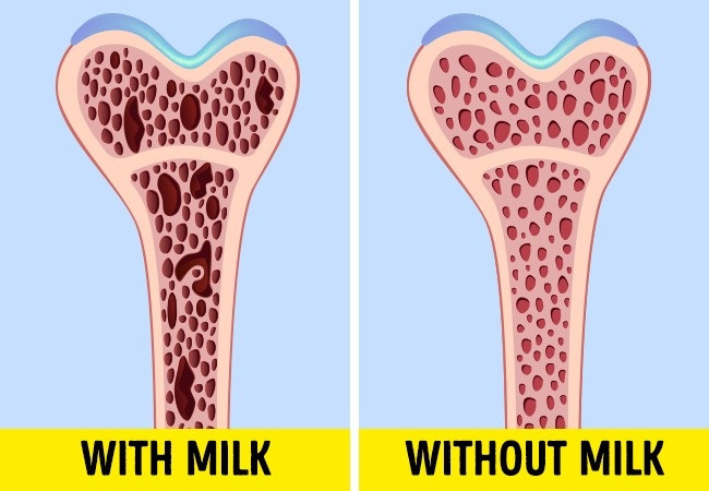 15 lầm tưởng sai bét mà nhân loại vẫn tin "sái cổ" ảnh 11