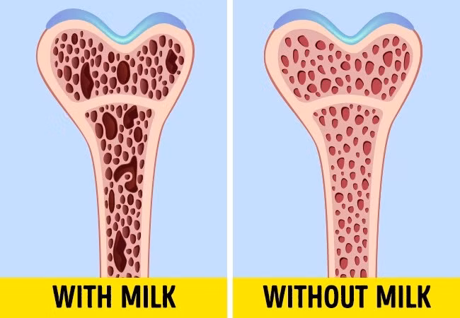 15 lầm tưởng sai bét mà nhân loại vẫn tin "sái cổ" ảnh 11