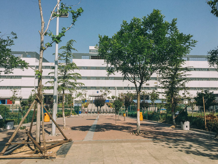 Khám phá Thành phố iPhone - nơi ra đời của một nửa số iPhone thế giới ảnh 6