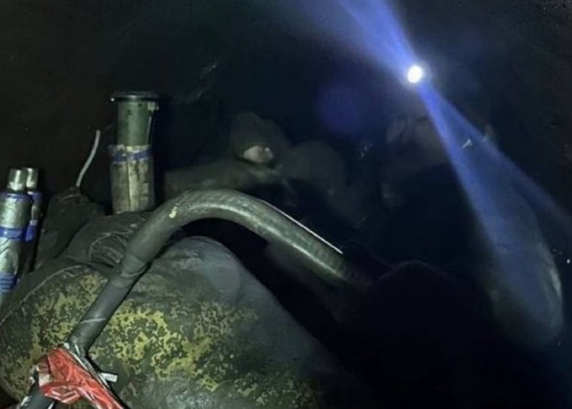 Quan Nga trong ong.jpg