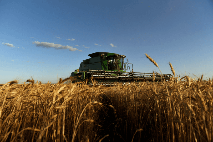 Tieu mach bi tang thue.png