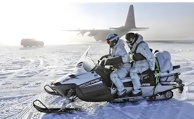 Linh My tuan tra.png