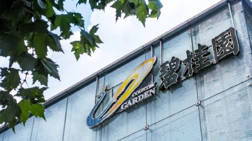 Dang phat trien tro thanh lo.png