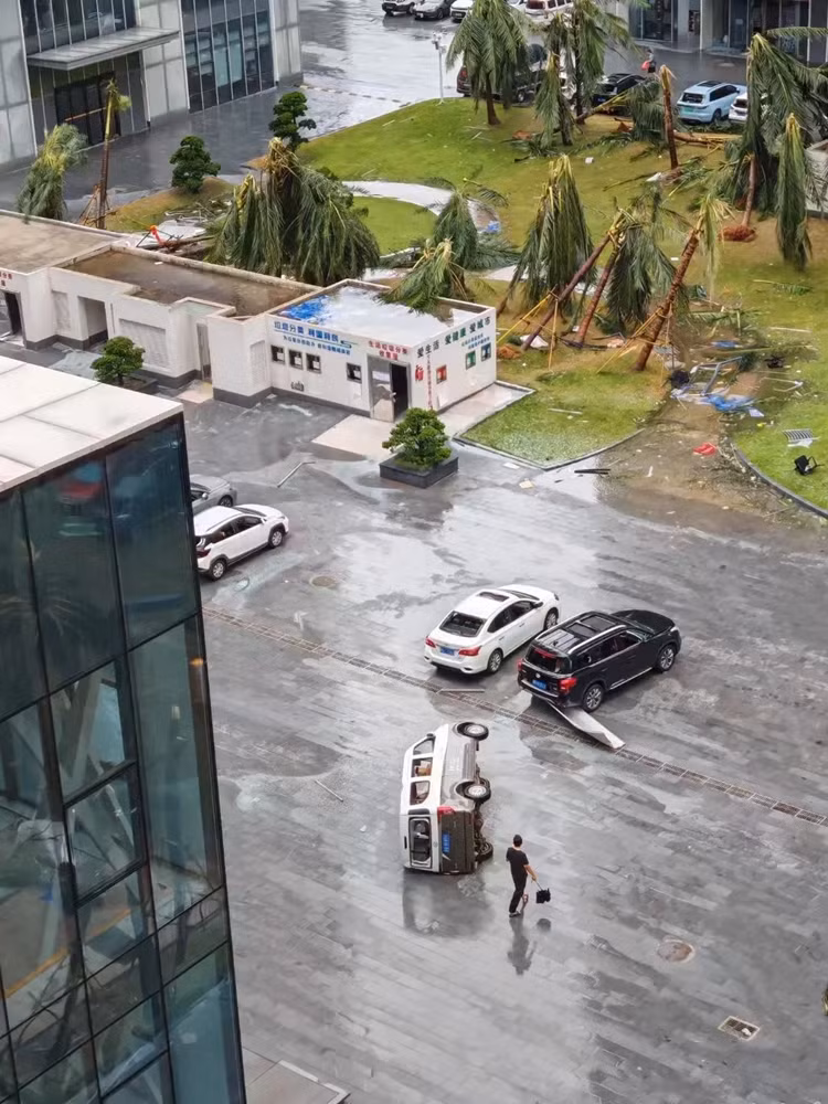 Hai Khau sau bao.jpg