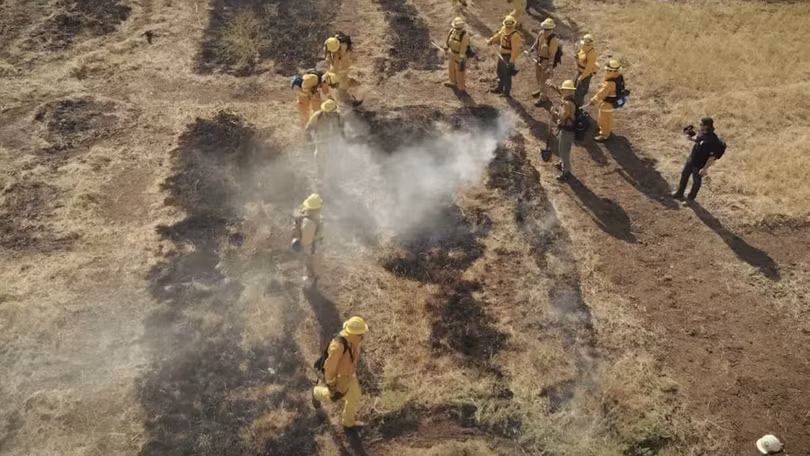 Linh cuu hoa tu nhan.jpg