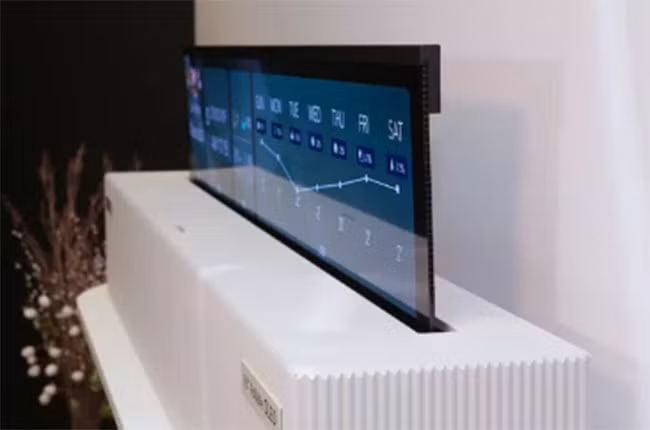 Điểm lại những công nghệ đặc biệt được trình diễn tại CES ảnh 2