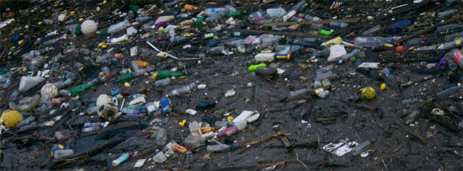 Thế giới đang tìm cách không sử dụng nhựa ảnh 1